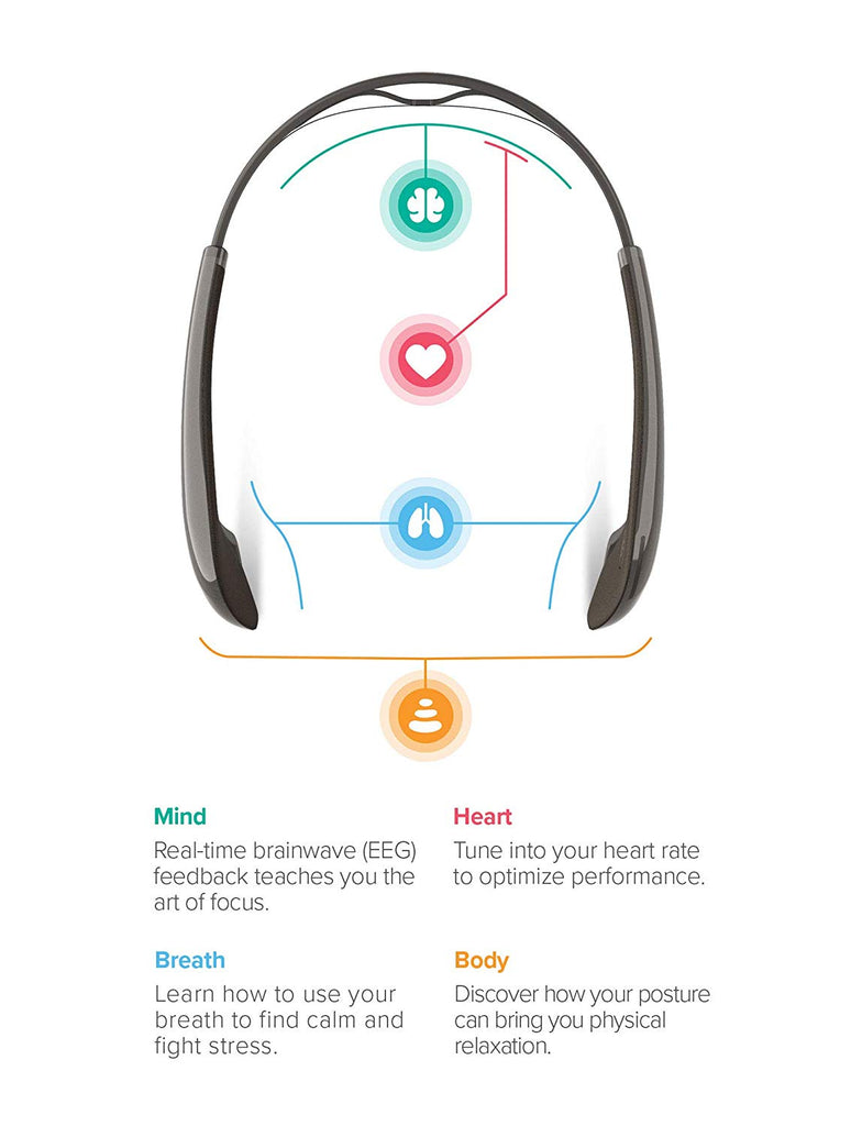 eeg, Muse headband
