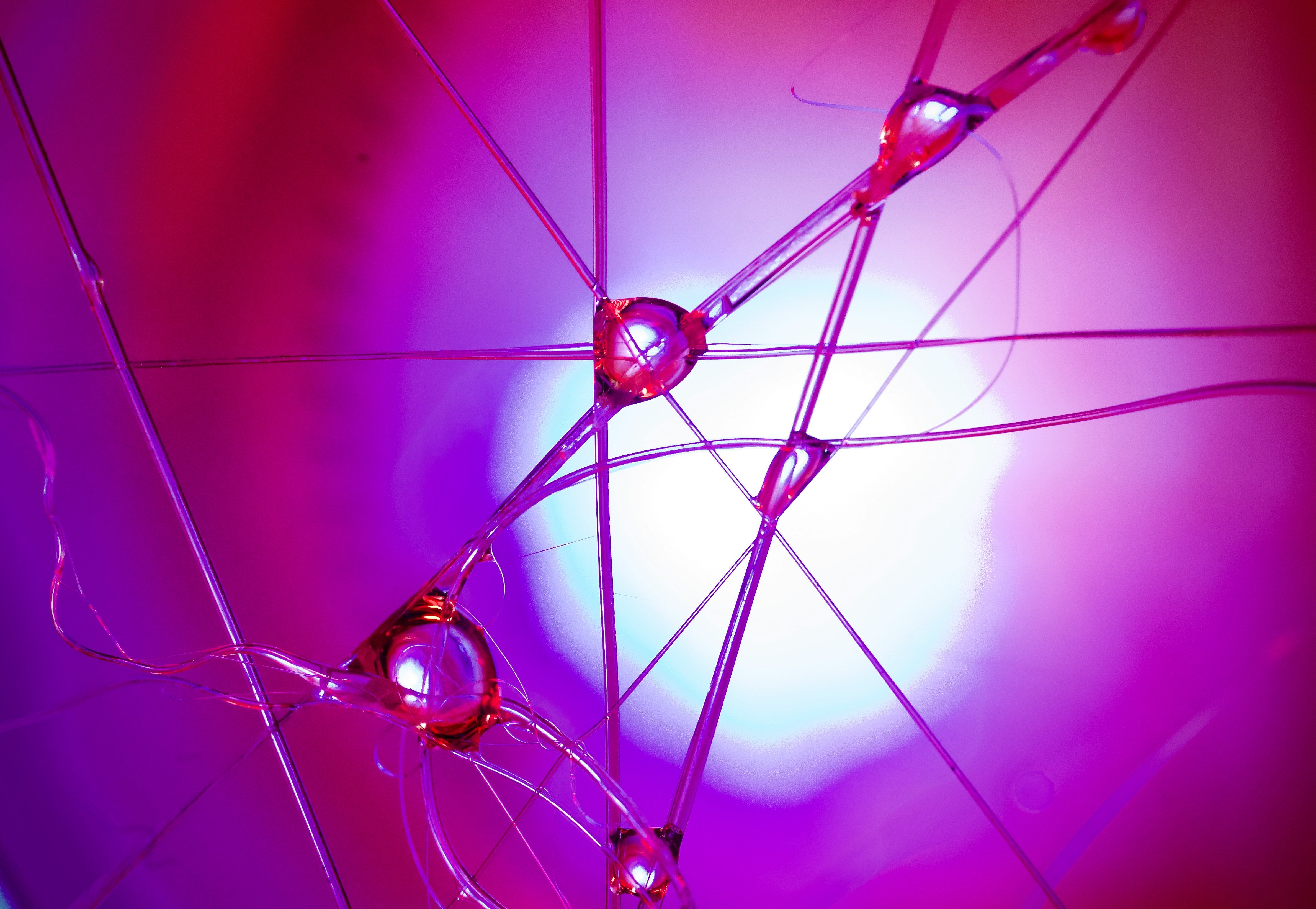A network of neurons