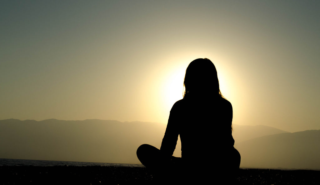 meditation and the brain