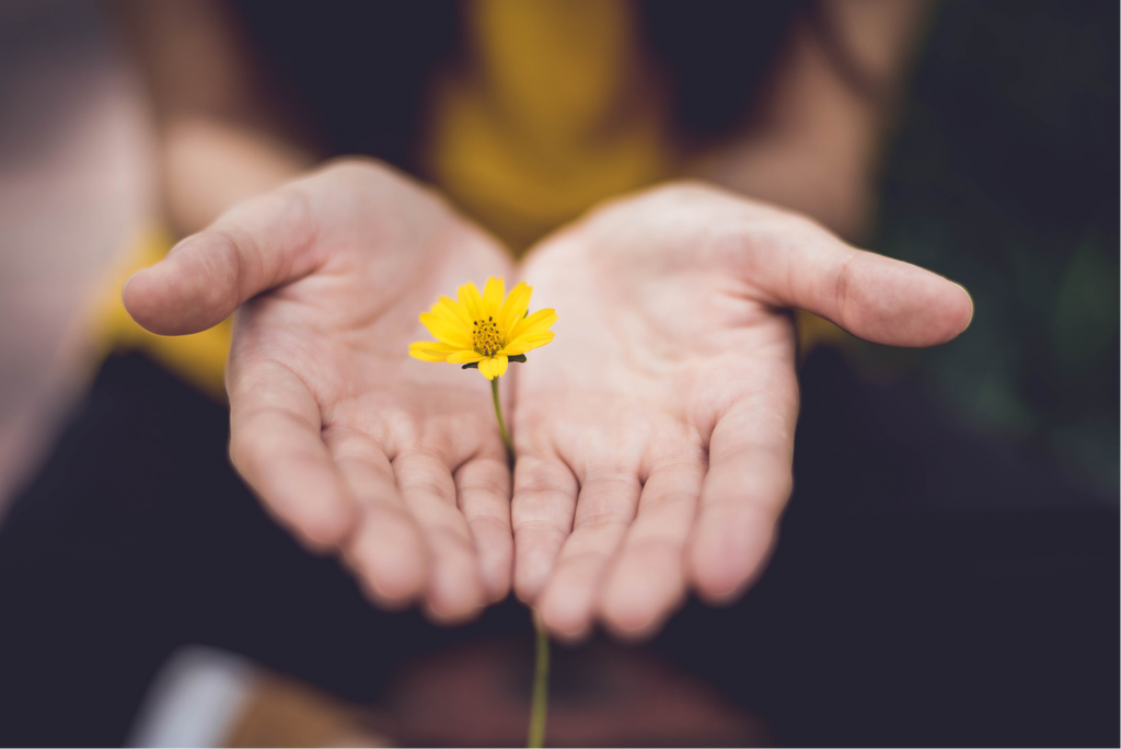 meditation and the brain
